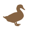 PATO